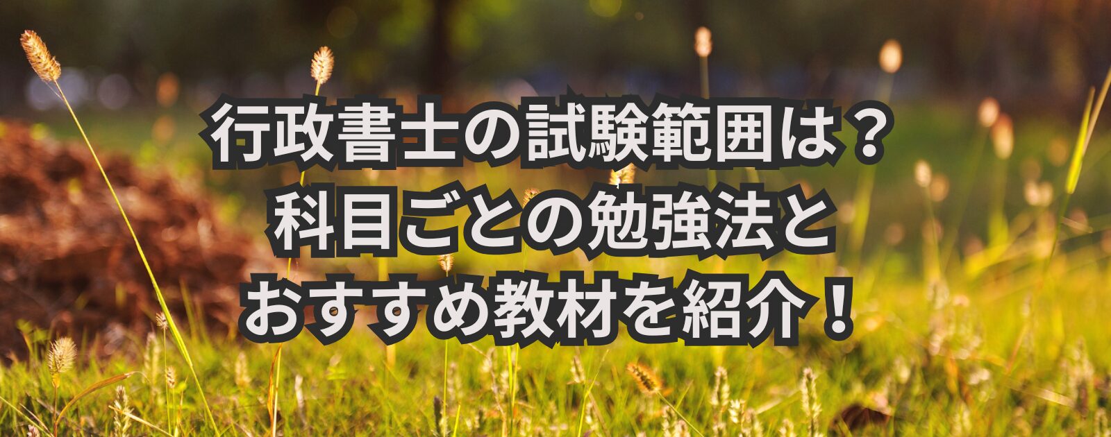 行政書士の試験範囲は？科目ごとの勉強法とおすすめ教材を紹介！