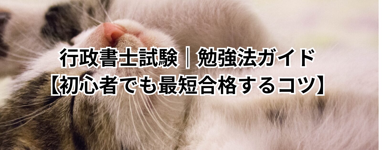 行政書士試験｜勉強法ガイド【初心者でも最短合格するコツ】