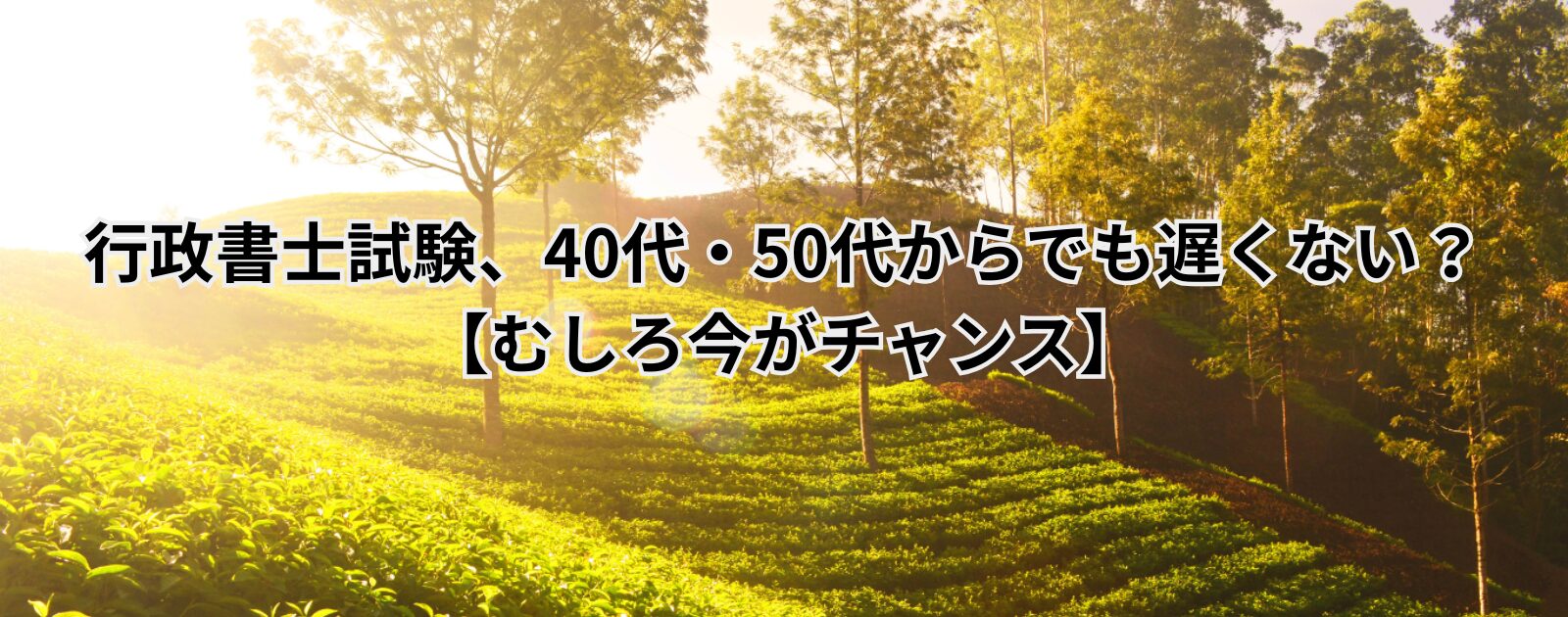 行政書士試験、40代・50代からでも遅くない？【むしろ今がチャンス】
