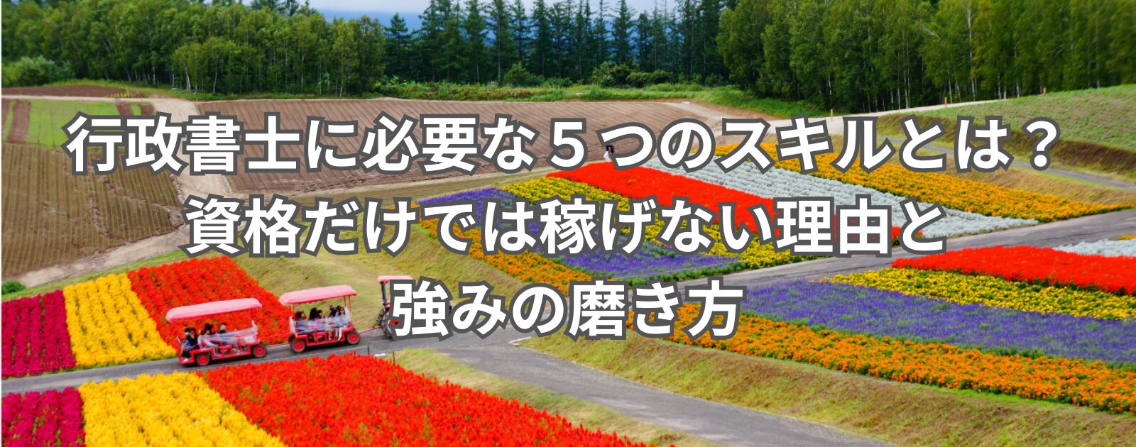 行政書士に必要な５つのスキルとは？資格だけでは稼げない理由と強みの磨き方