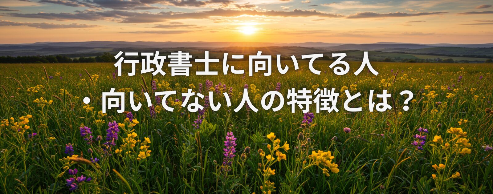 行政書士に向いてる人・向いてない人の特徴とは？