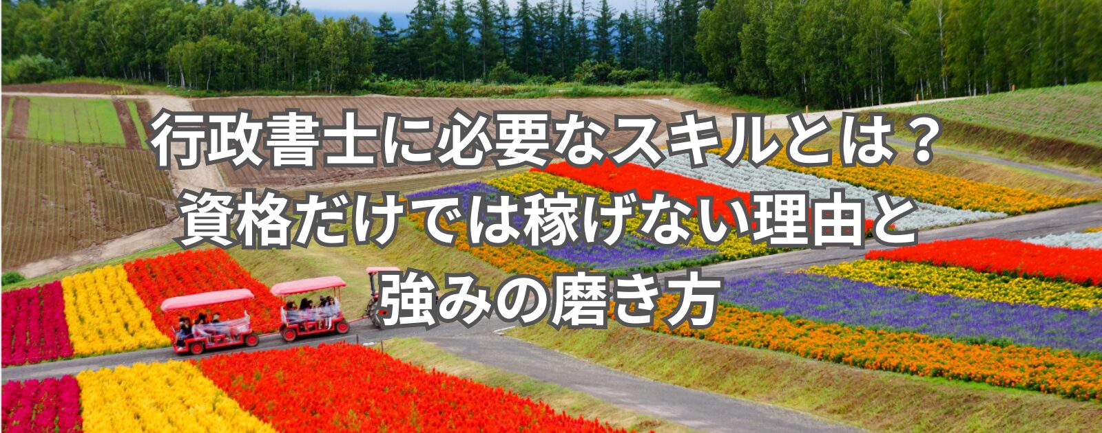 行政書士に必要なスキルとは？資格だけでは稼げない理由と強みの磨き方