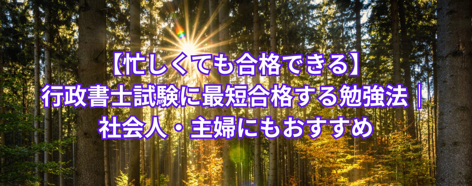 【忙しくても合格できる】行政書士試験に最短合格する勉強法｜社会人・主婦にもおすすめ