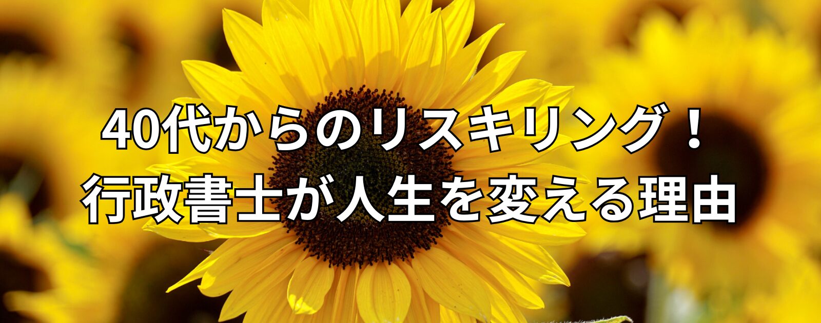 40代からのリスキリング！行政書士が人生を変える理由